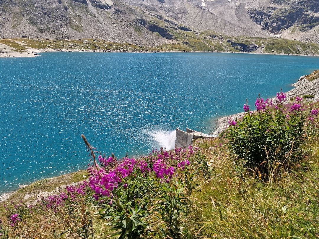Colle del Nivolet-Ceresole Reale必去景点