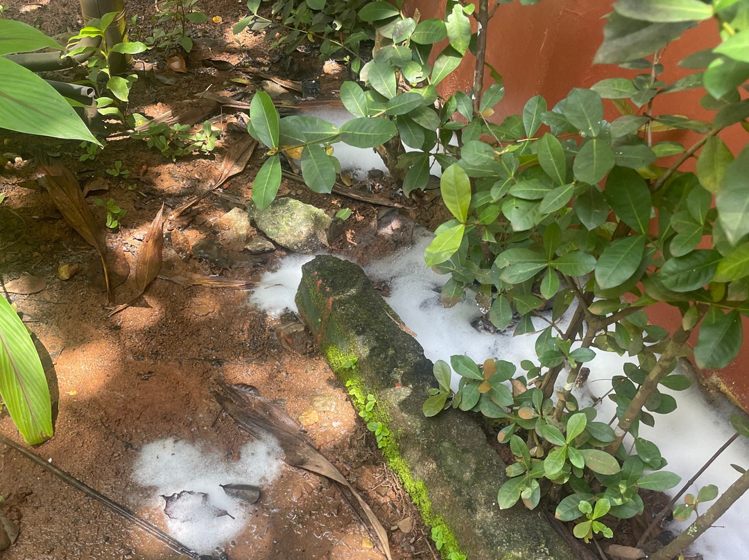 Vista Coiba Villas & Restaurant主图