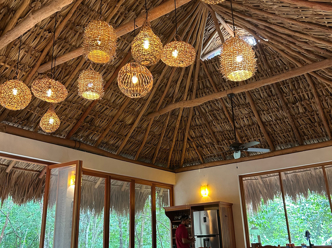 Experiencia Privada en Cenote Exclusivo-巴利亚多利德必去景点