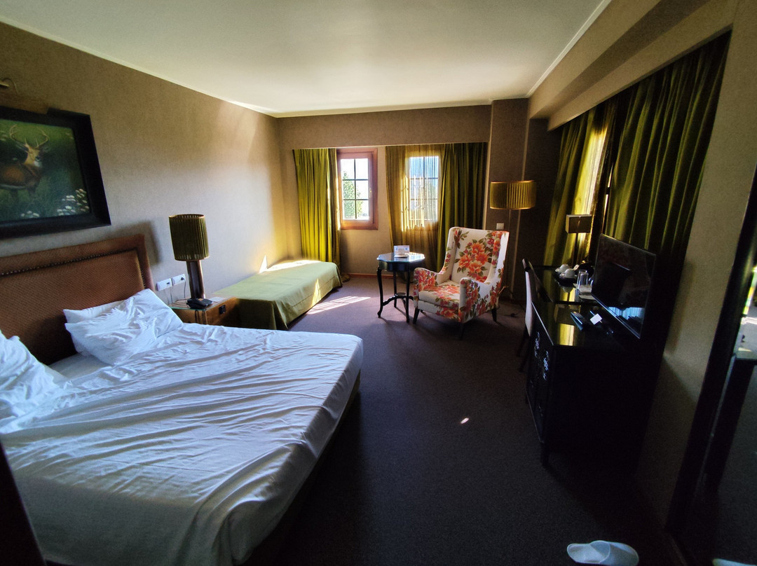 Hotel Du Lac Congress Center & Spa主图