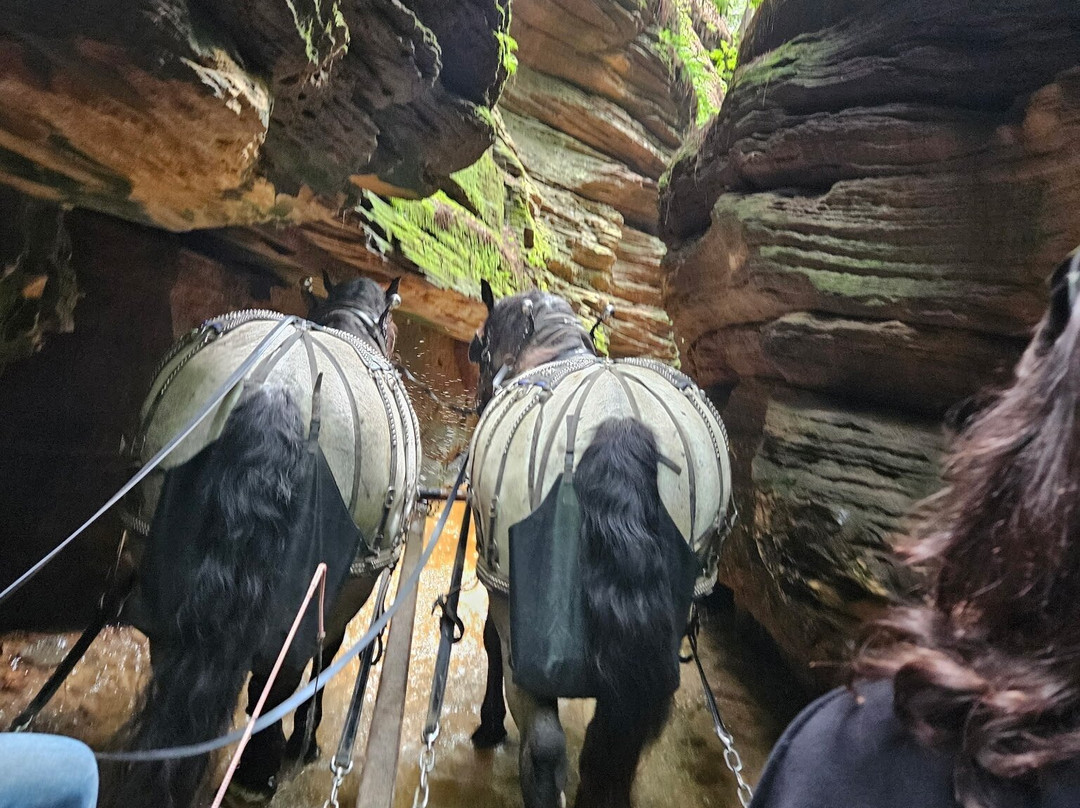 Lost Canyon Tours-威斯康星峡谷必去景点