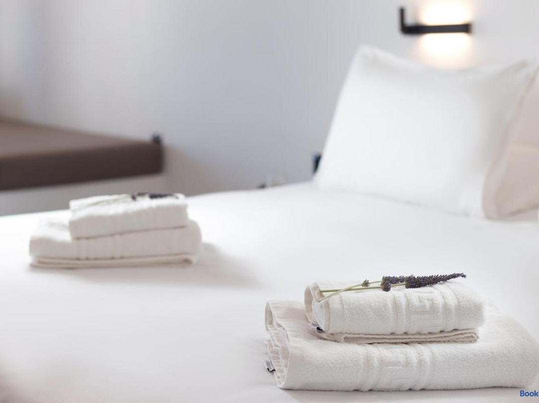 Ydrousa酒店住宿-Spanos Apartments