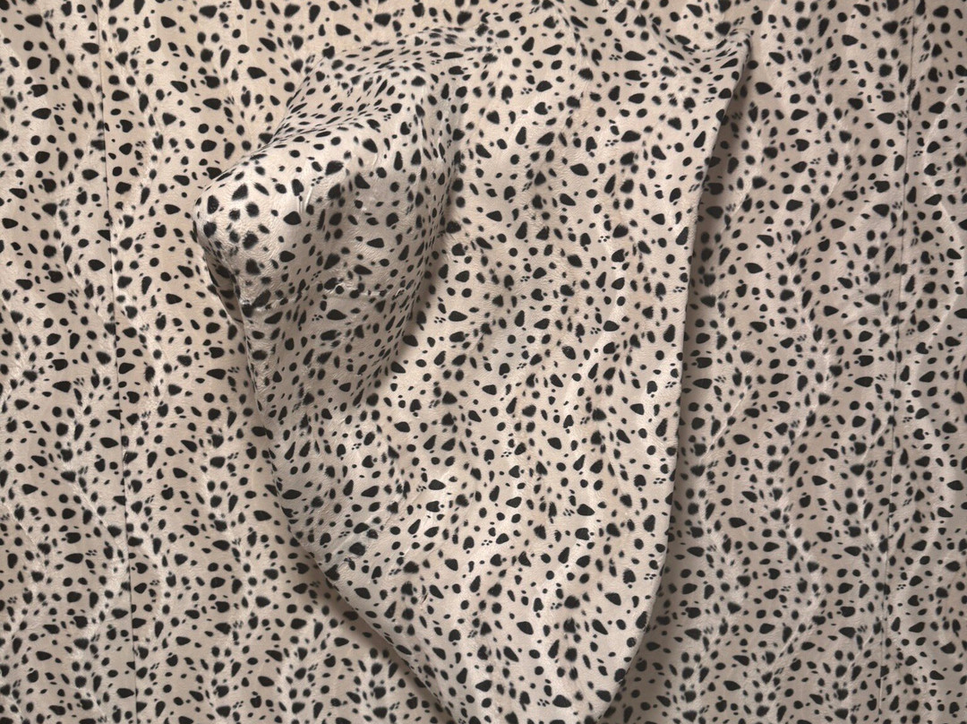 Home Of The Dalmatian Dog-希贝尼克必去景点