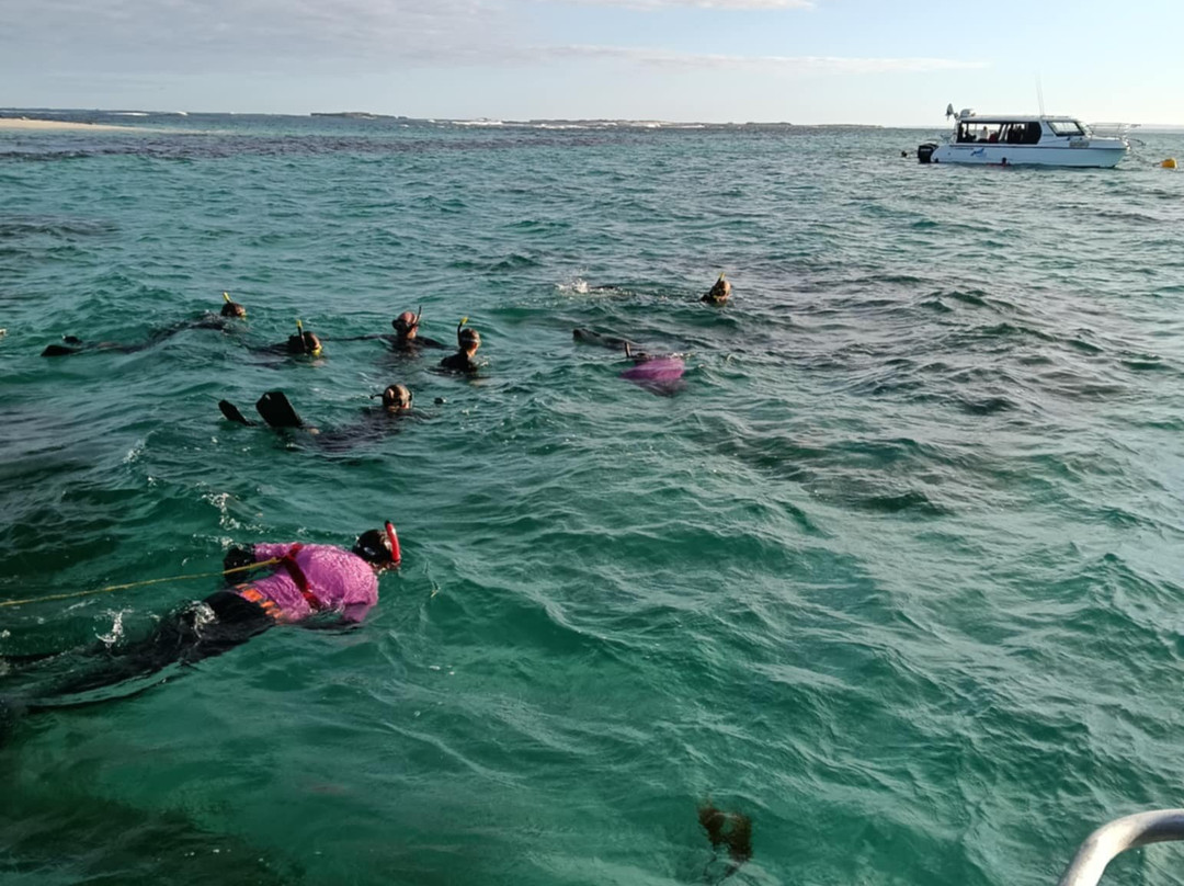Jurien Bay Oceanic Experience-朱里恩湾必去景点