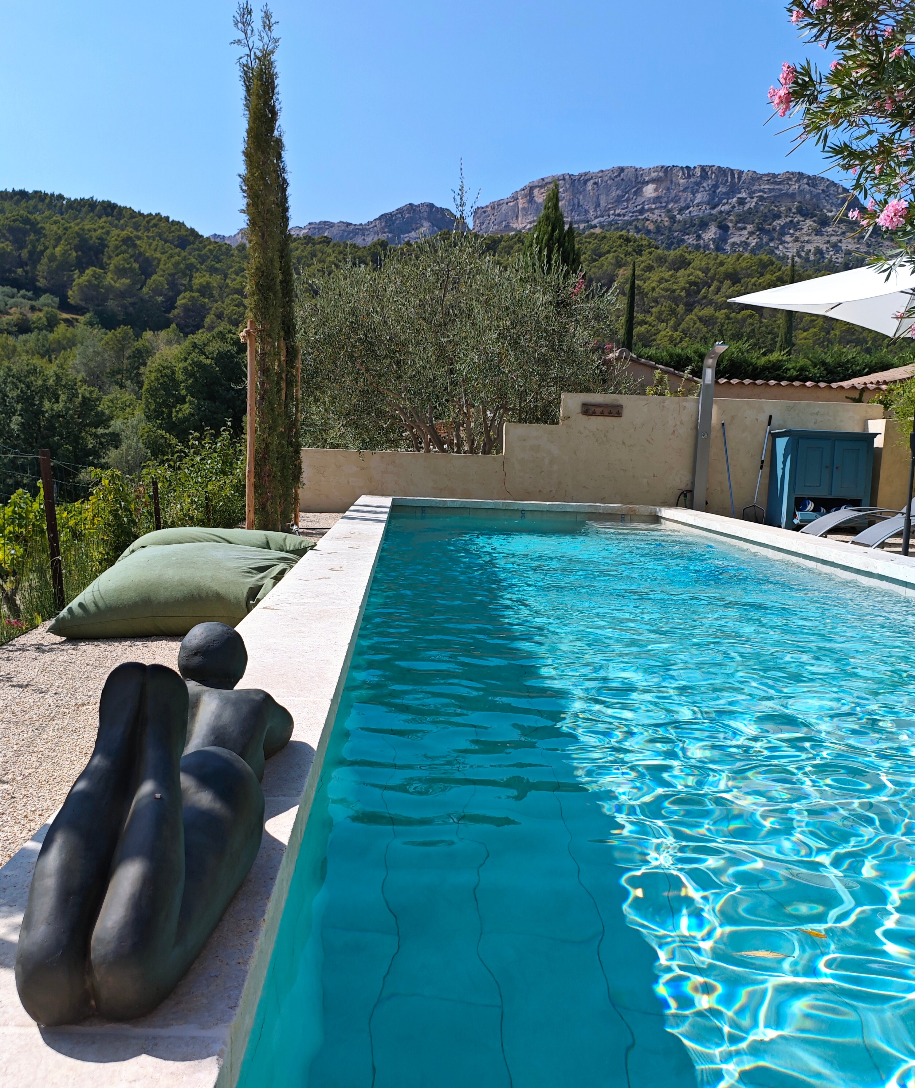 Au Soleil du Bonheur-泳池