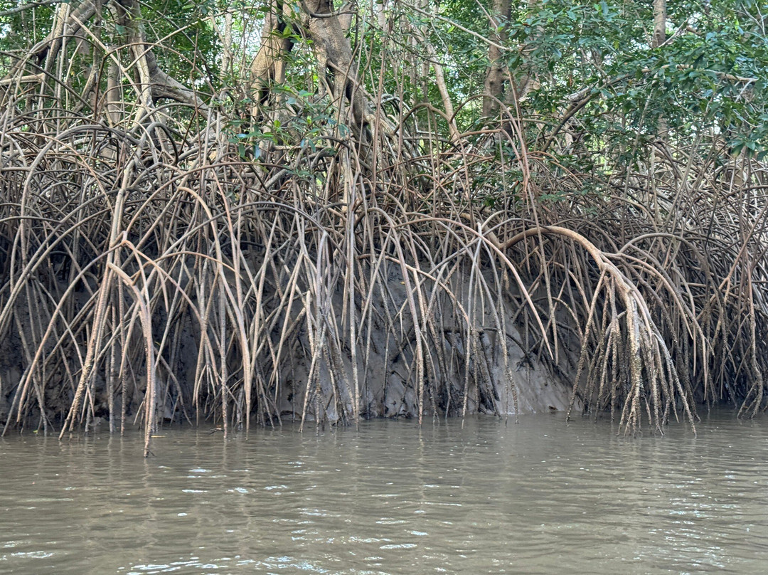 Parnaiba Delta-Parnaiba必去景点