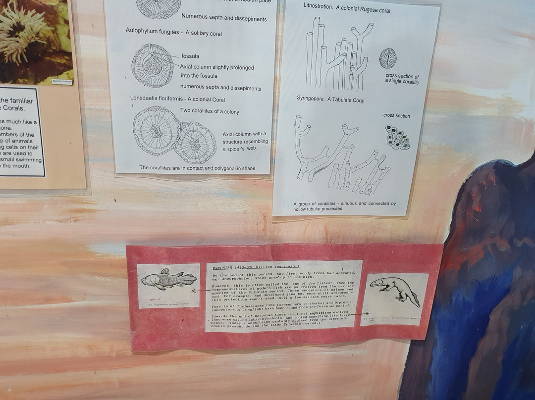 Stone Science-Pentraeth必去景点