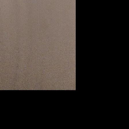 Best Western Plus Sweetwater Inn & Suites-客卧