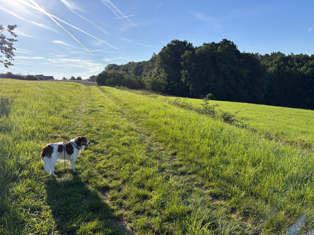 Campingplatz Bergesruh