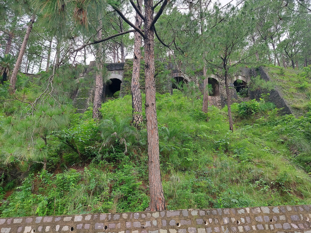 Kalka - Shimla Railway-西姆拉必去景点