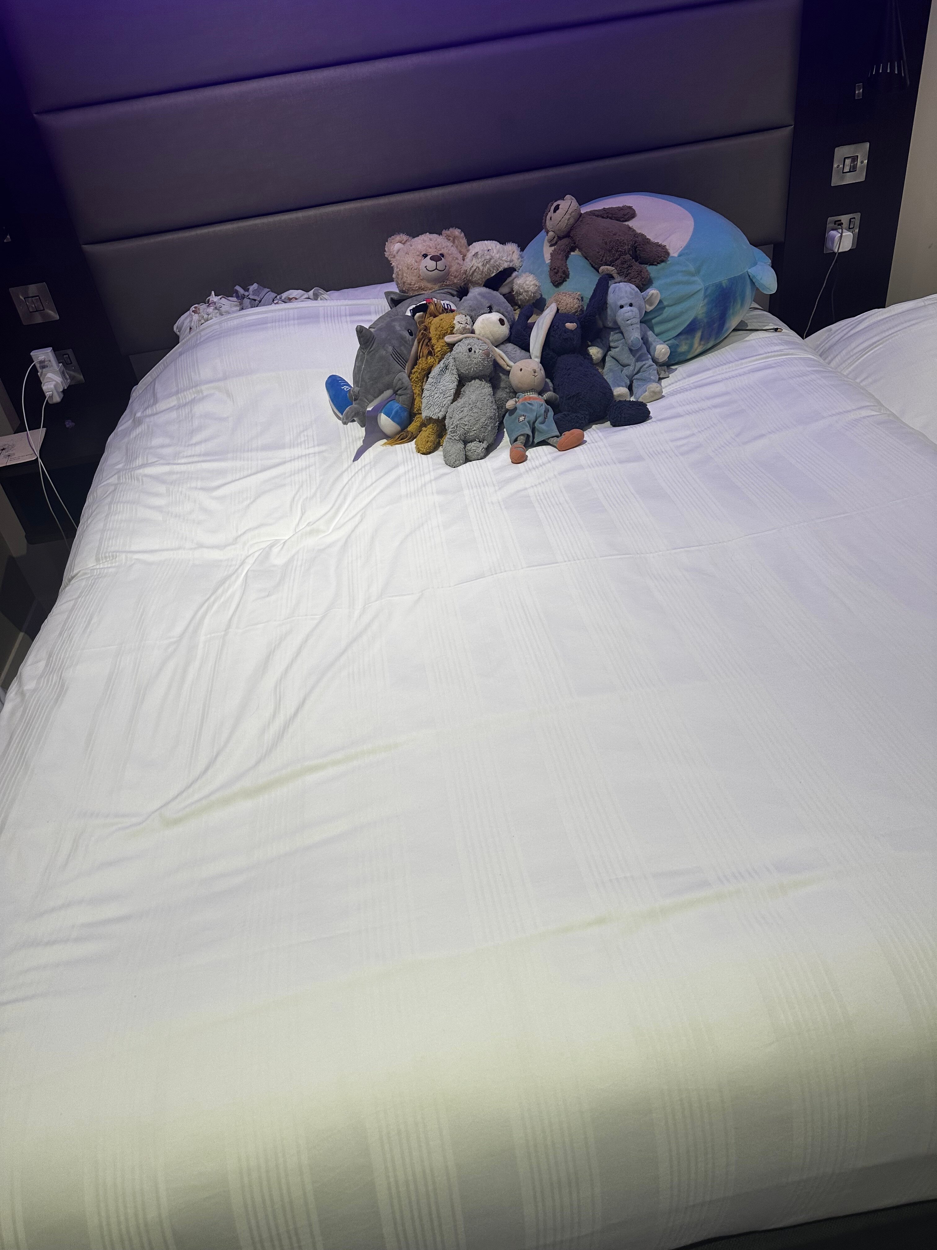 北卡迪夫普瑞米尔酒店-官方