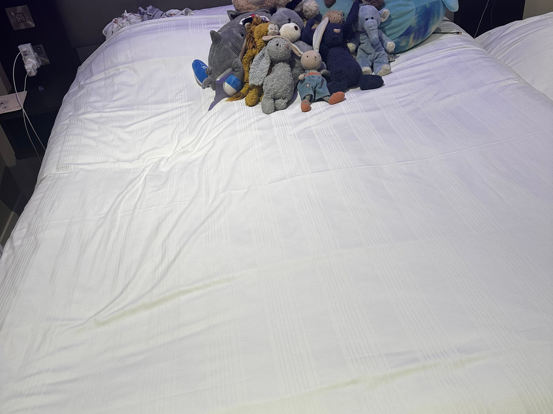 北卡迪夫普瑞米尔酒店主图