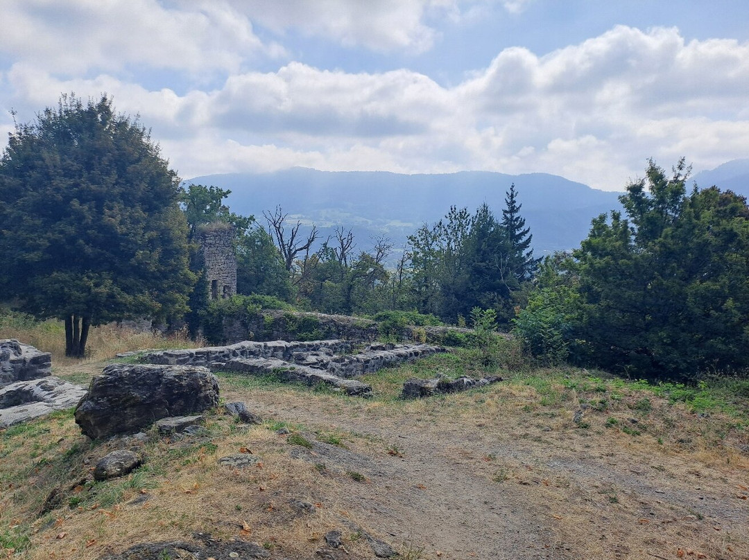 Châteaux des Allinges-Allinges必去景点