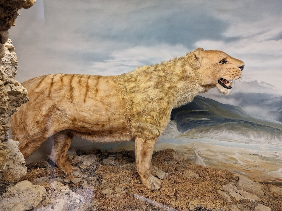 Südostbayerisches Naturkunde- und Mammut-Museum Siegsdorf-Siegsdorf必去景点