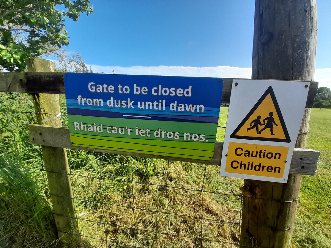 Dyfed Shire Horse Farm-Eglwyswrw必去景点
