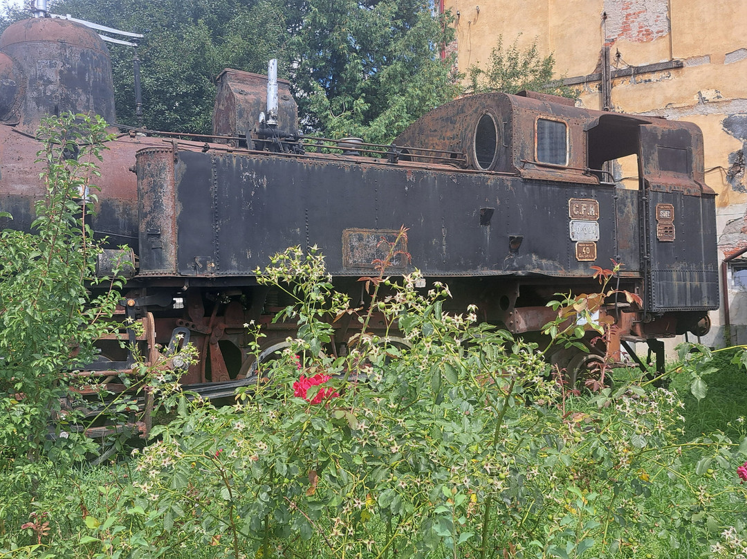 Museum of Steam Locomotives-锡比乌必去景点