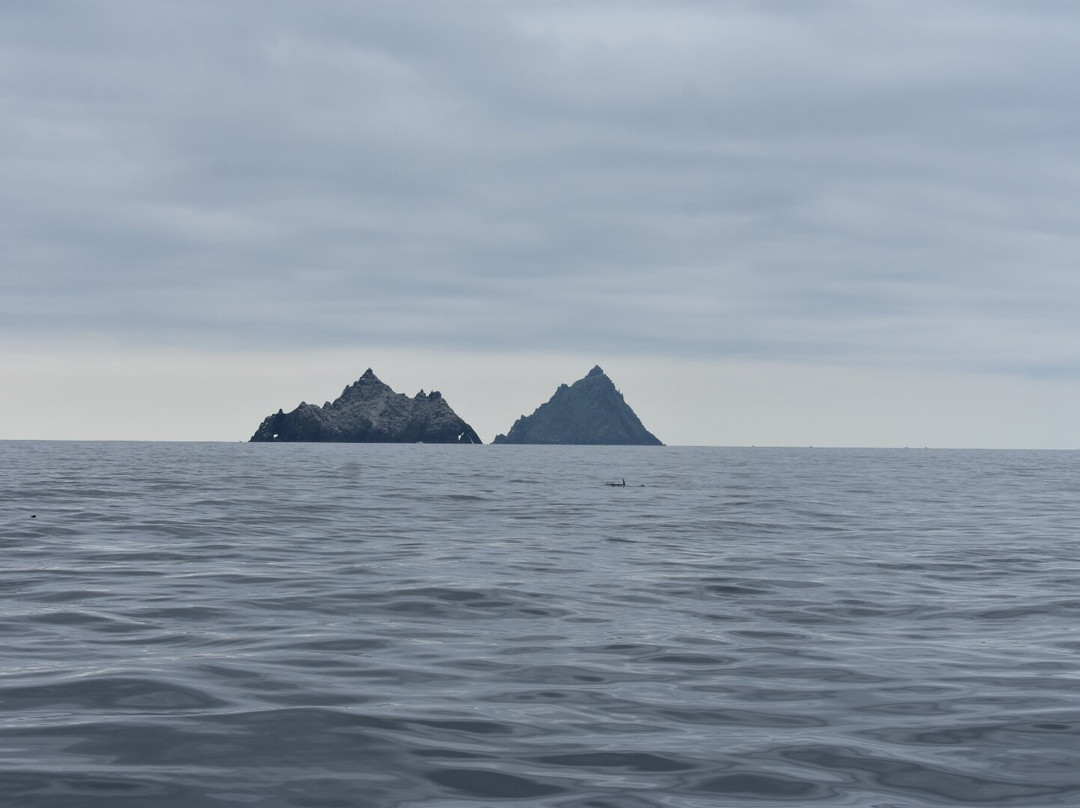 Skellig Falcon-Ballinskelligs必去景点
