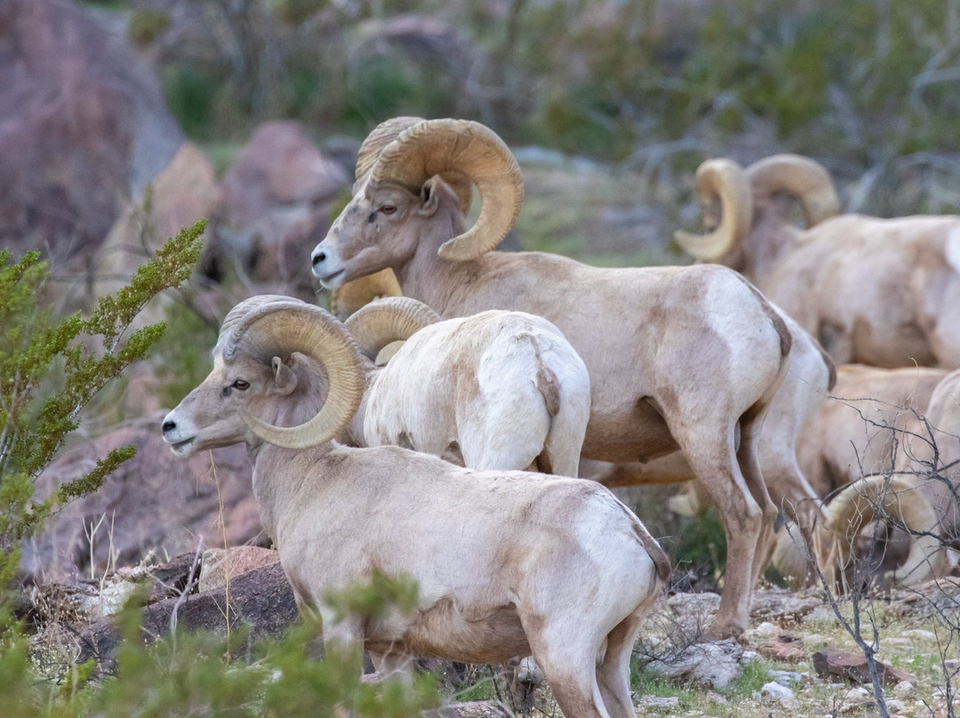 De Anza Country Club-波瑞戈泉必去景点