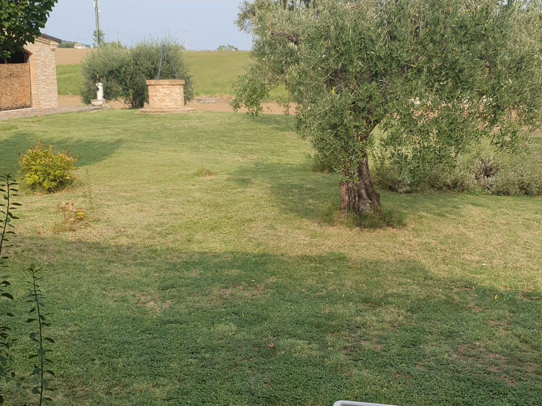 B&B Il Piccolo Melograno主图