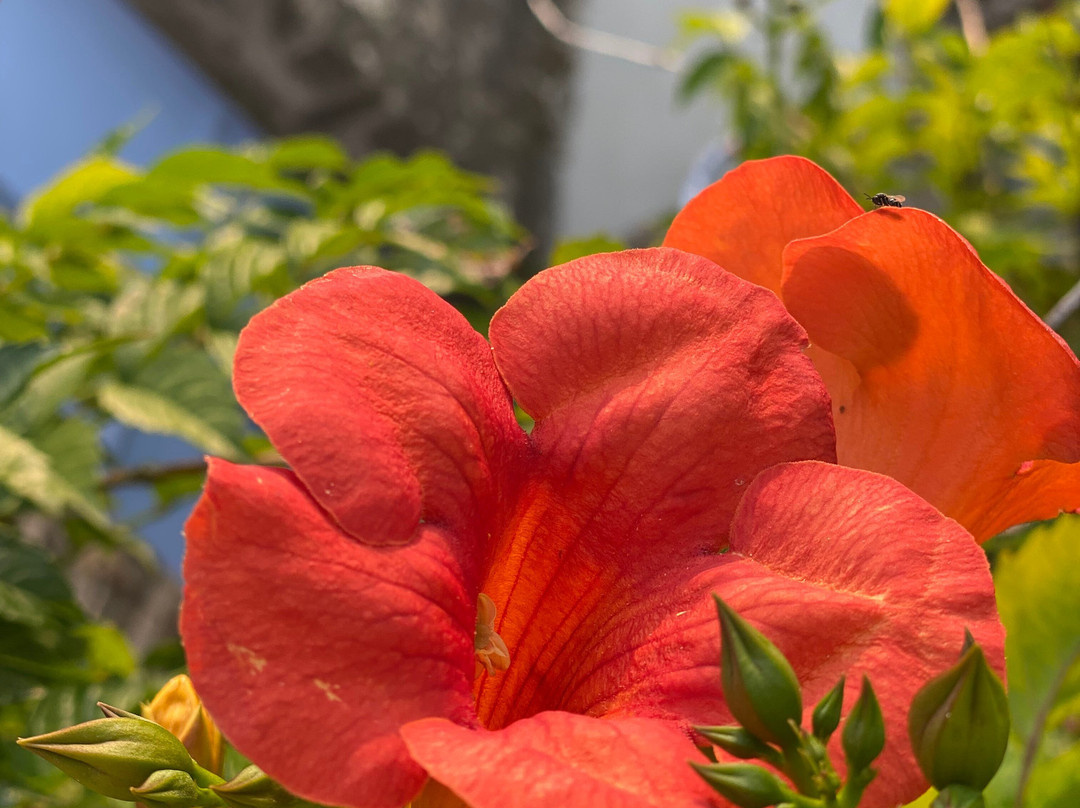 Domaine de Salomony主图