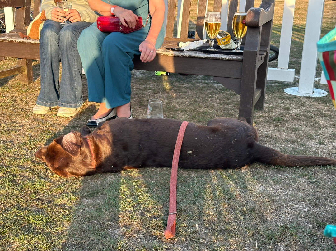 Sunbury Cricket Club