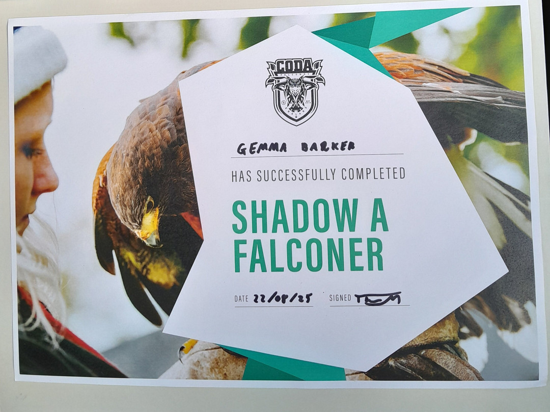 Coda Falconry-豪恩斯洛必去景点