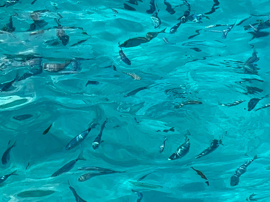 Ionian Ribs-塞沃塔必去景点