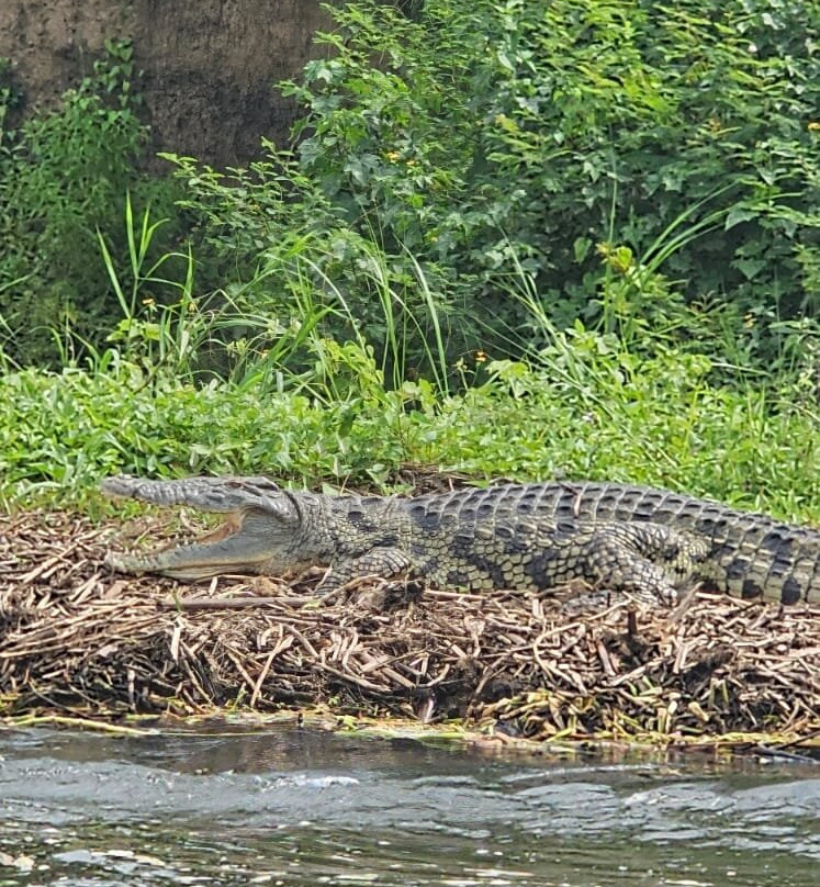 Eros Travelogue-金贾必去景点