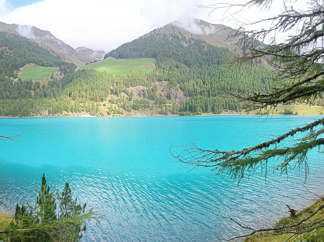 蒂罗尔博尔格酒店主图