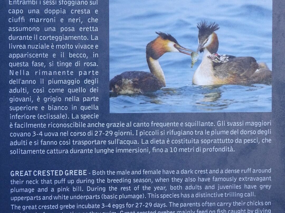 Lago della Serraia-Baselga di Pine必去景点