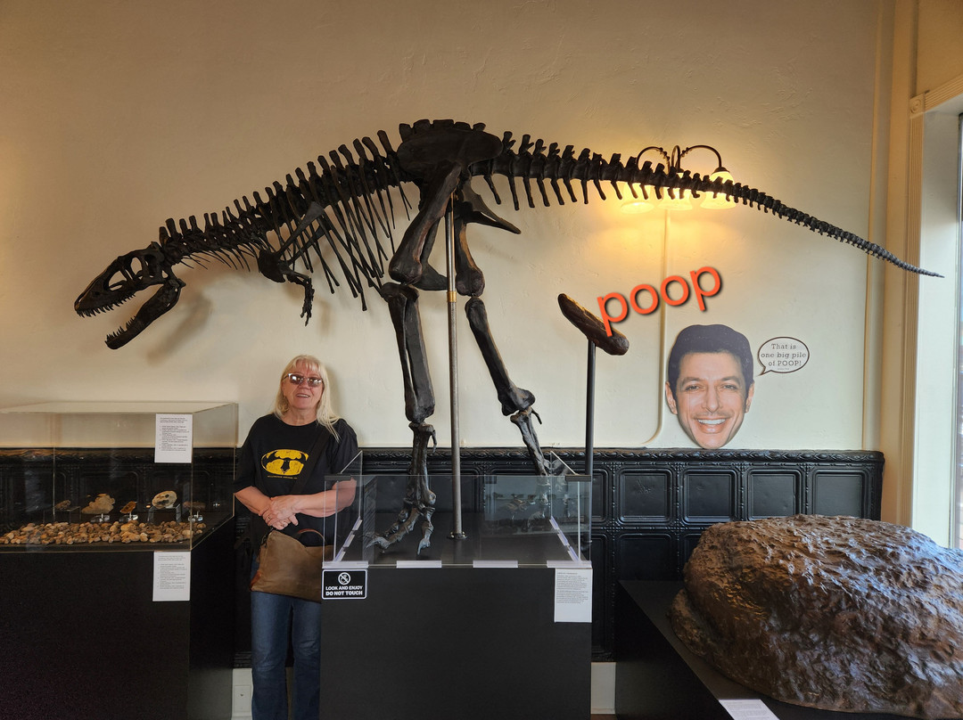 Poozeum-威廉姆斯必去景点