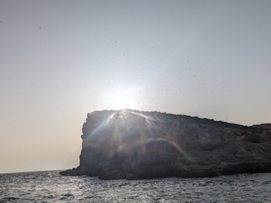 Ta' Miema Boat Services-Comino必去景点