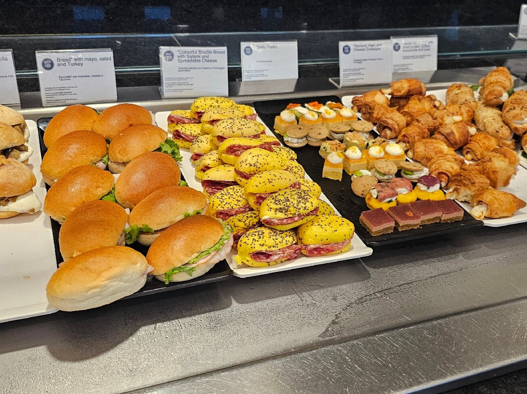 Premium Lounge - Milano Malpensa-费尔诺必去景点
