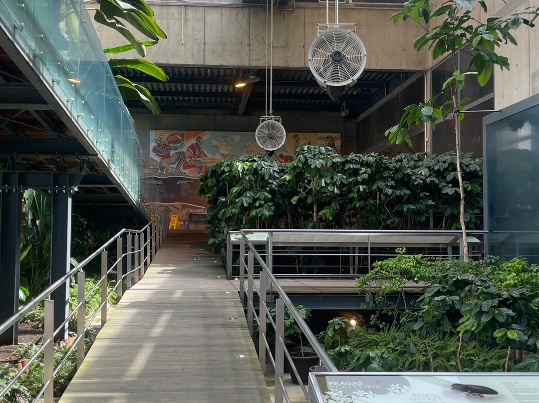 Centro De Ciência Do Café-Campo Maior必去景点