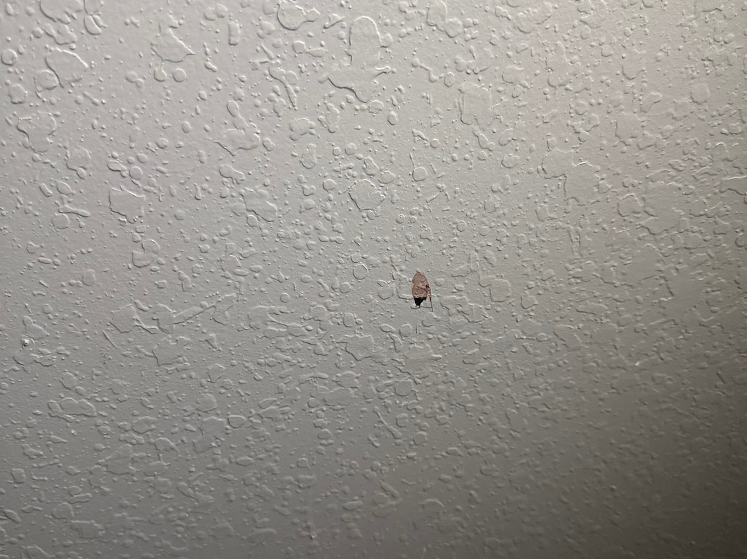 Blackstone Lodge and Suites主图