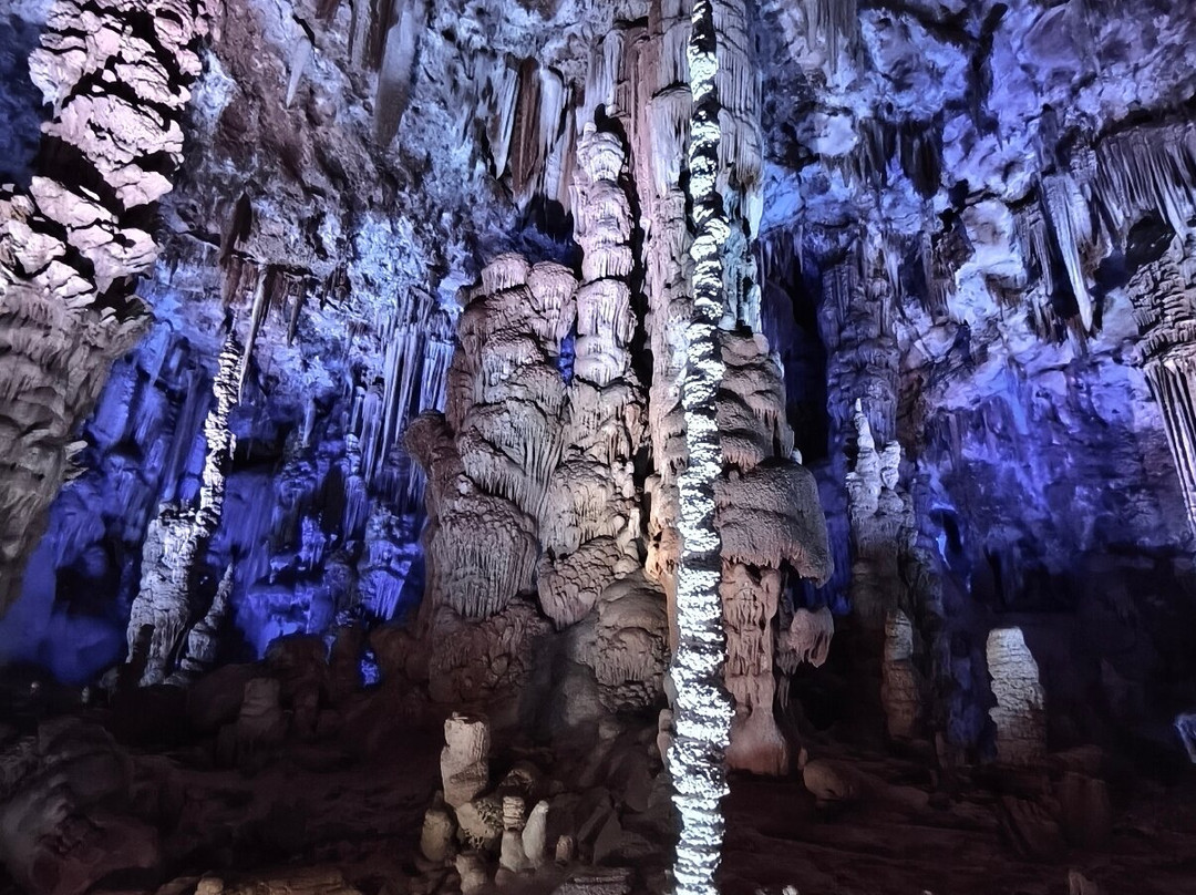 Grotte de la Salamandre-Mejannes-le-Clap必去景点