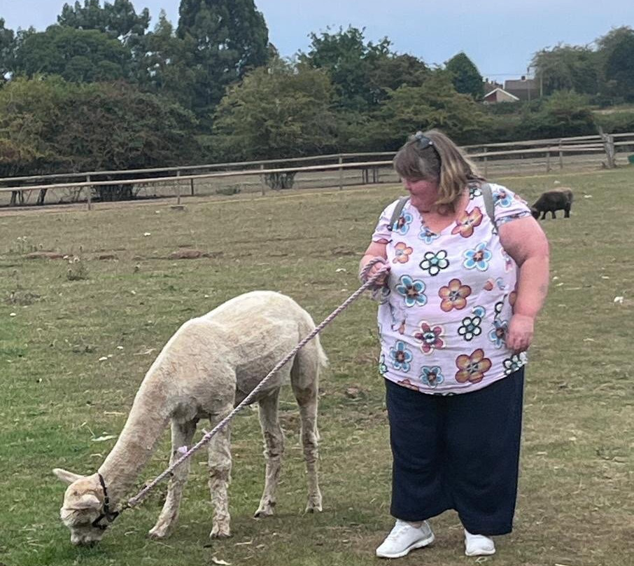 Lucky Tails Alpaca Farm-Atherstone必去景点