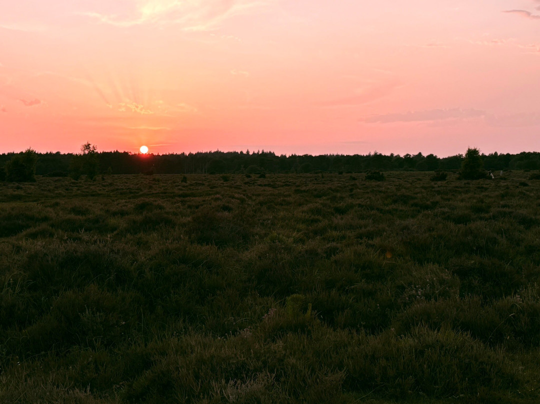 Aldridge Hill Campsite