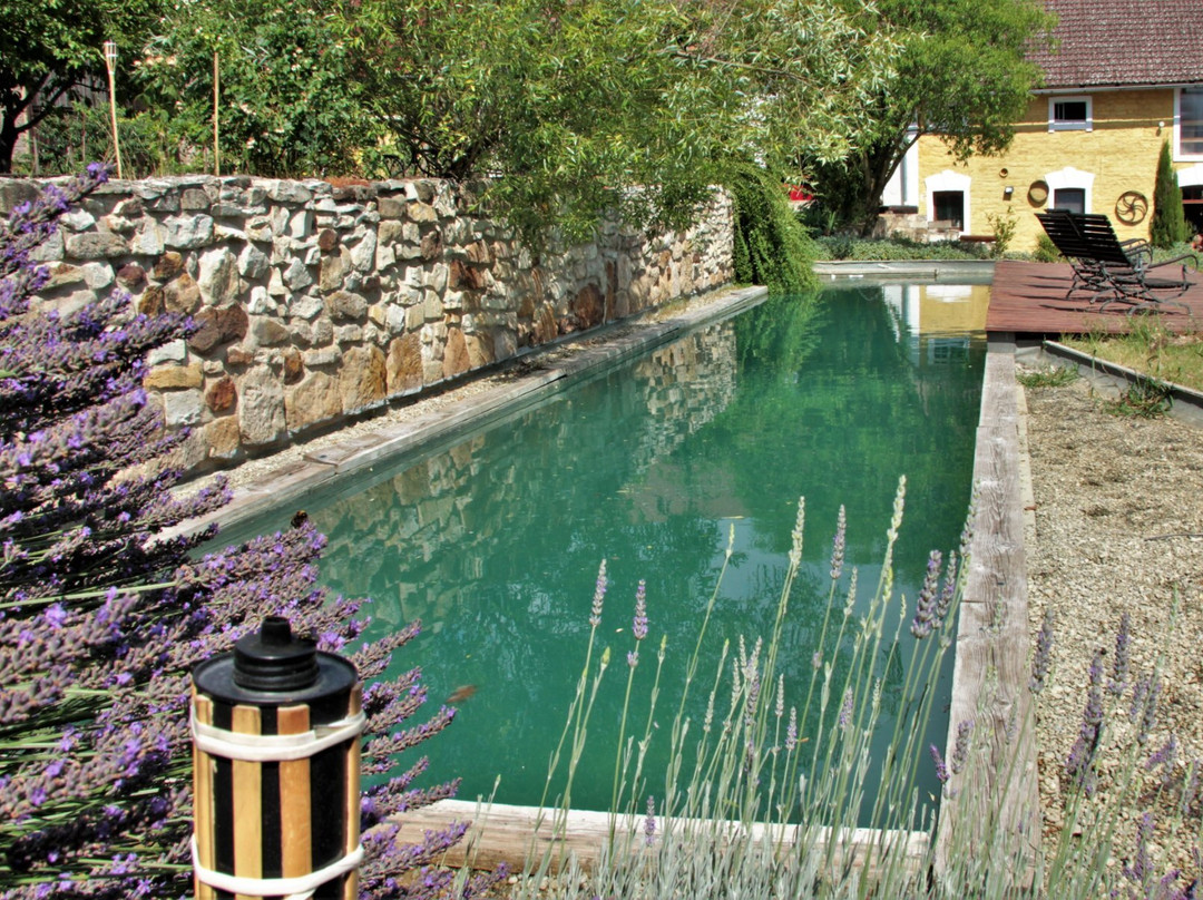 Statek Lunikov主图