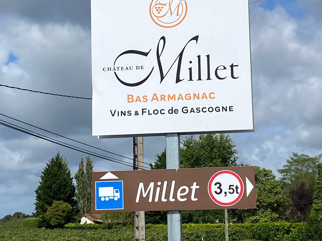 Chateau De Millet Eauze