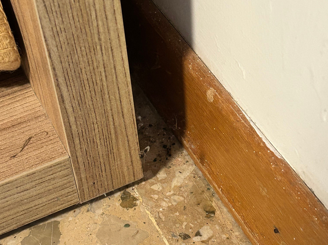 Hotel Ti Bionda Suisse主图