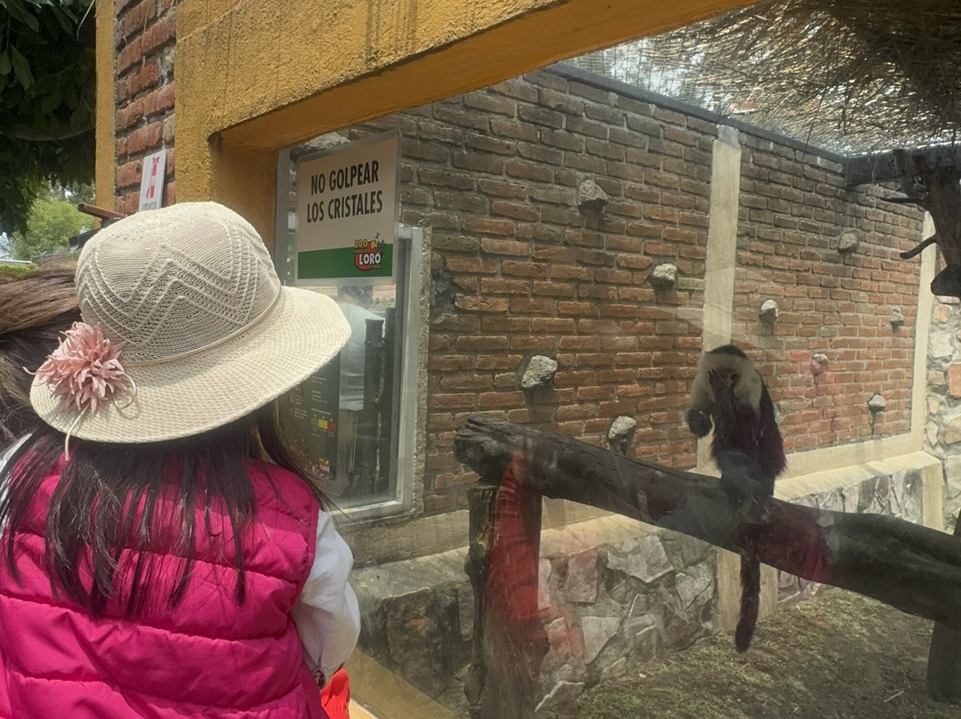 Zoo Parque Loro Puebla-普埃布拉必去景点
