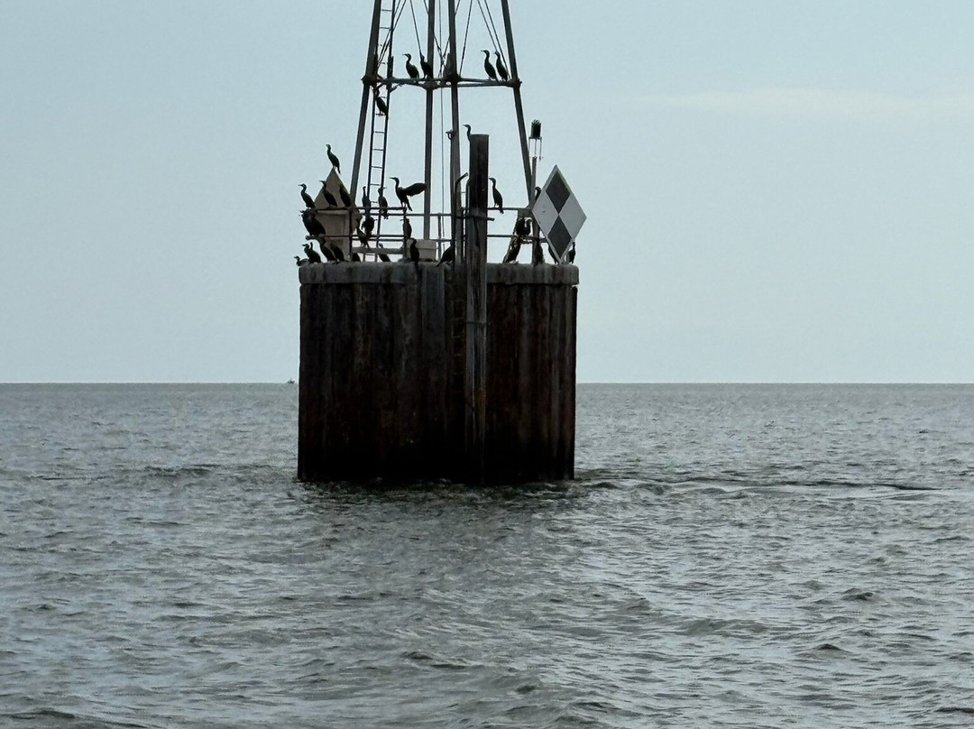 Experience Smith Island-Crisfield必去景点