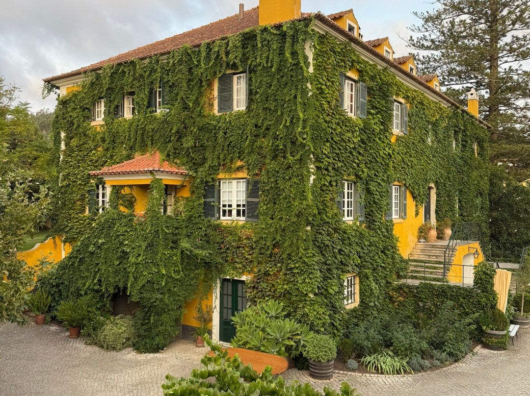 Quinta de Sant'Ana-Gradil必去景点