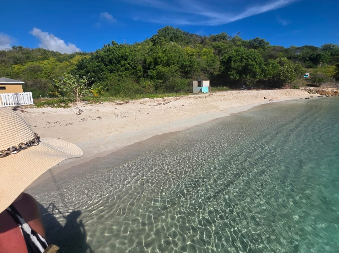 Wadadli Cats-安提瓜必去景点