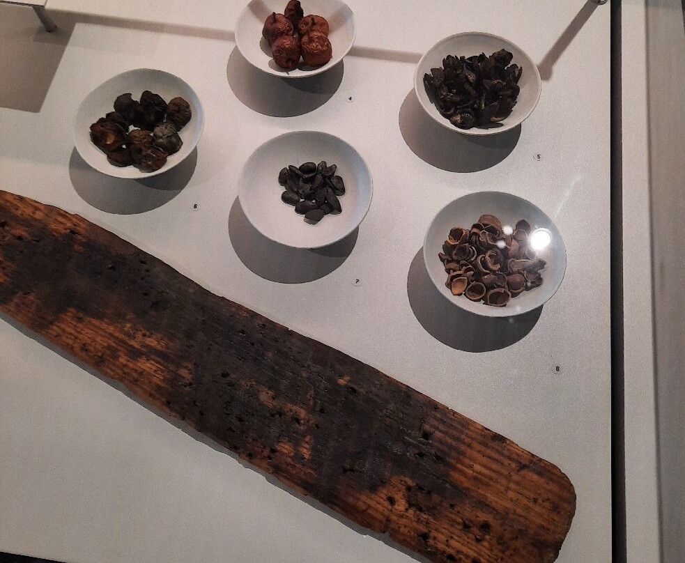 MALP - Musée archéologique du Lac de Paladru-Paladru必去景点