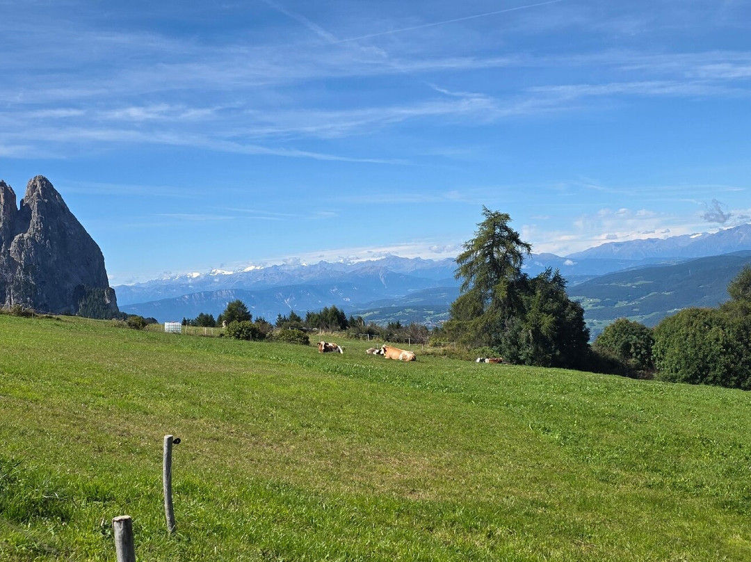 Alpe di Siusi-Alpe di Siusi必去景点