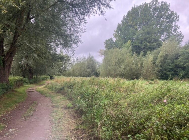 Teston Bridge Country Park-梅德斯通必去景点