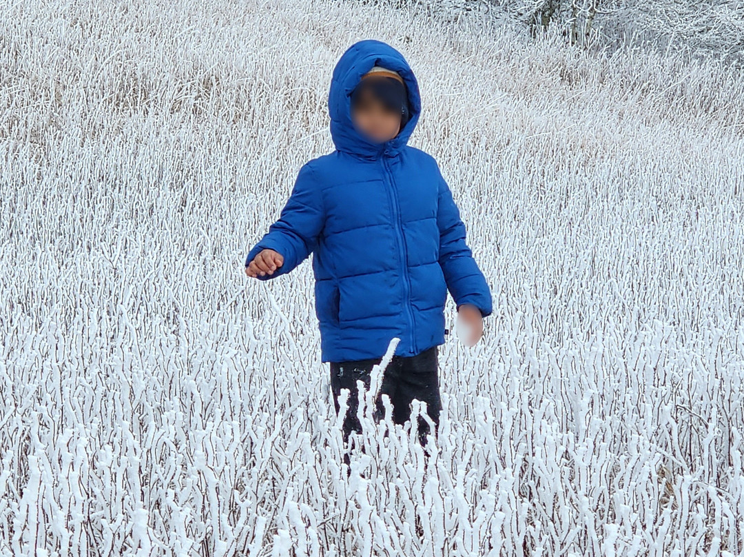 Whitetop Mountain-Mouth of Wilson必去景点