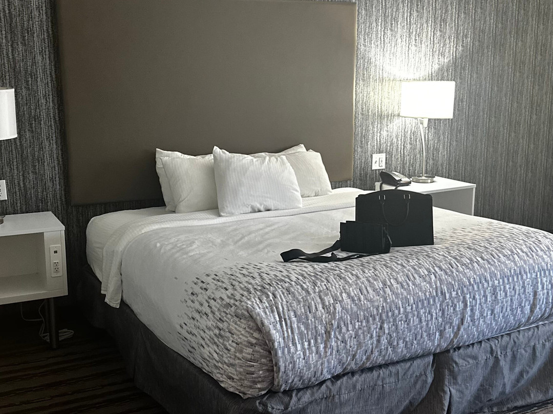 La Quinta Inn & Suites by Wyndham Buffalo Amherst主图